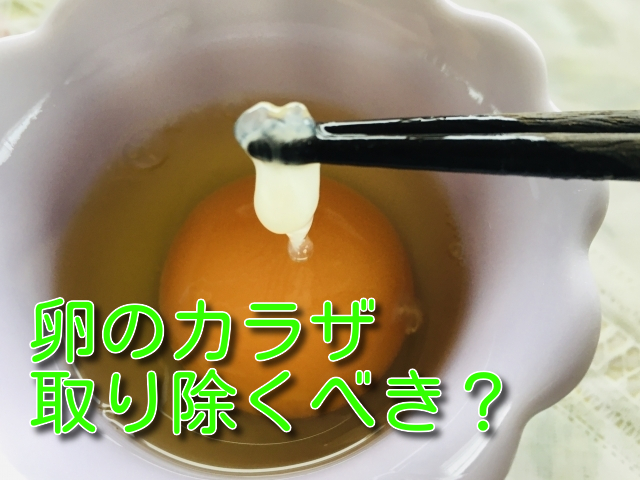 卵のカラザは取り除くべき 栄養はある 暮らしに役立つ情報ライブラリー